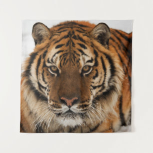 Head Shot of Siberian Tiger Tapestry