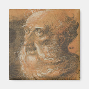 Head Study, 1522 Magnet