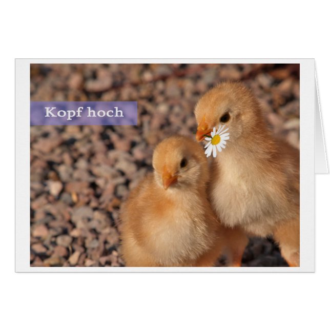 head up (Front Horizontal)