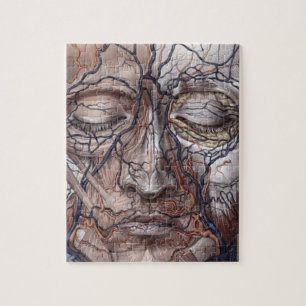 Head Veins and Muscles Jigsaw Puzzle