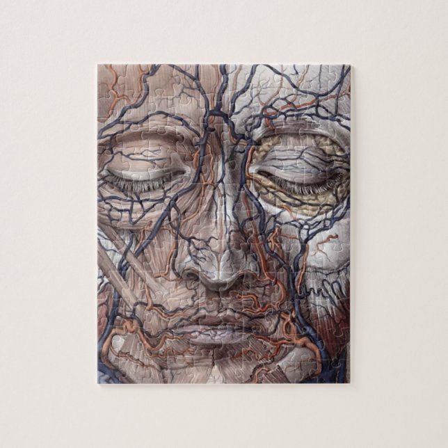 Head Veins and Muscles Jigsaw Puzzle (Vertical)