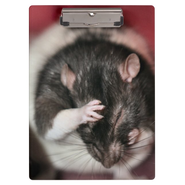 Headache Clipboard (Front)