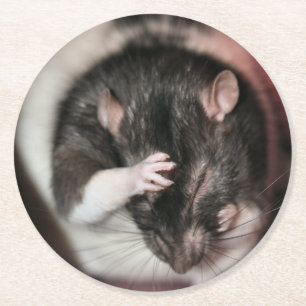 Headache! Round Paper Coaster