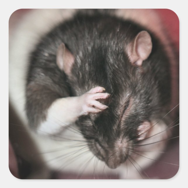 Headache! Square Sticker (Front)