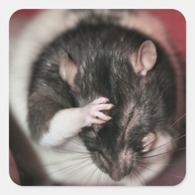 Headache! Square Sticker (Front)