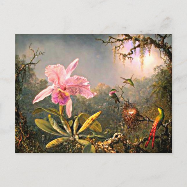 Heade - Cattleya Orchid and Three Hummingbirds Postcard (Front)