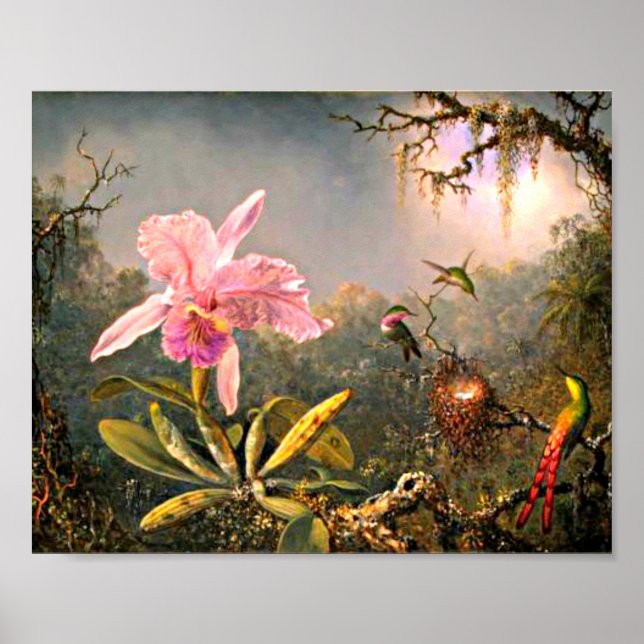 Heade - Cattleya Orchid and Three Hummingbirds Poster (Front)
