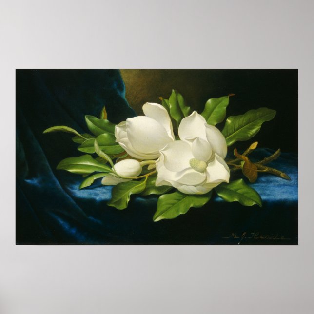 Heade - Giant Magnolias On A Blue Velvet Cloth Poster (Front)