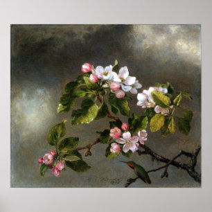 Heade - Hummingbird And Apple Blossoms Poster