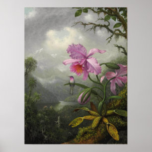 Heade - Hummingbird Perched On The Orchid Plant Poster