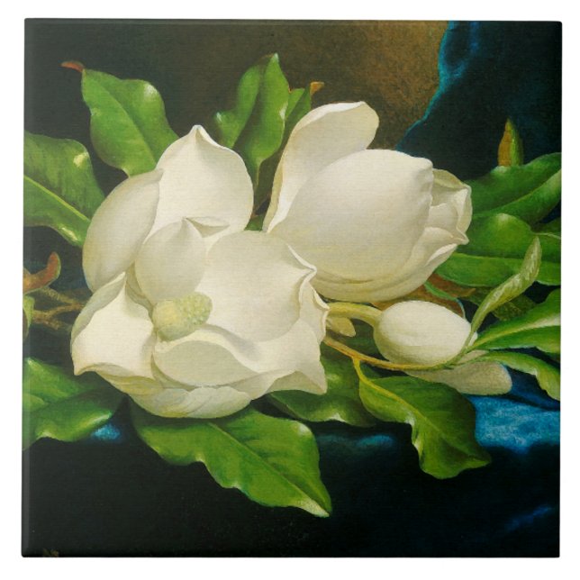 Heade Magnolia Flower Blossoms Ceramic Tile (Front)
