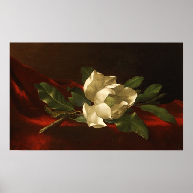 Heade - Magnolia Poster (Front)