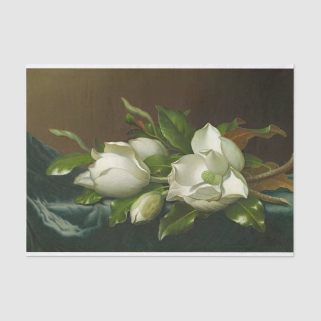 Heade Magnolias Floral Painting Tissue Paper (Front)