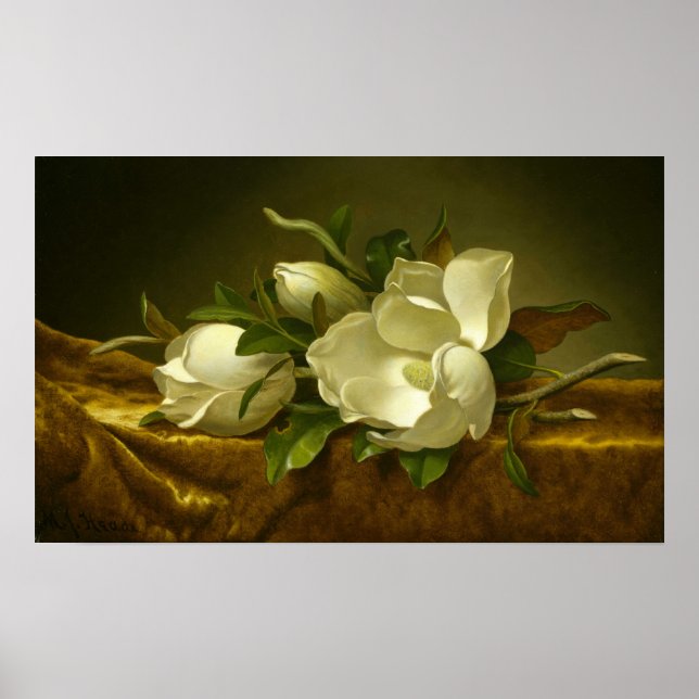 Heade - Magnolias On Gold Velvet Cloth Poster (Front)
