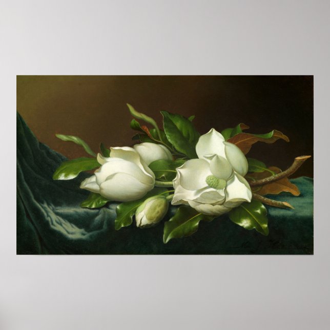 Heade - Magnolias On Light Blue Velvet Cloth Poster (Front)