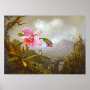 Heade - Orchid And Hummingbird Near A Waterfall  Poster