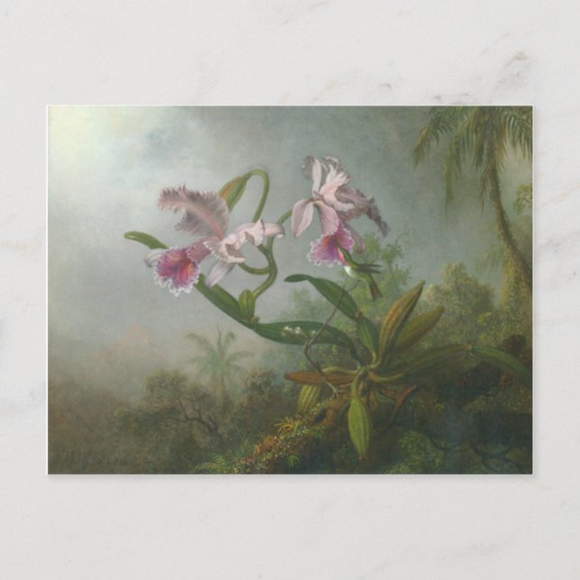 Heade - Two Orchids and a Humming Bird Postcard (Front)