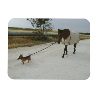 Heading for home magnet