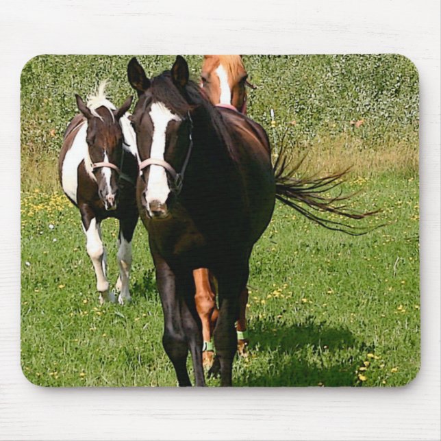 Heading Home Mouse Pad (Front)