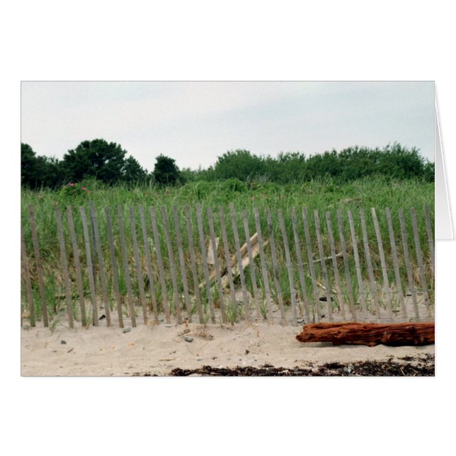 Heading to the Beach (Front Horizontal)