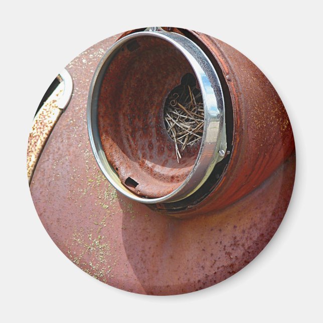 Headlight Nest Magnet (Front)