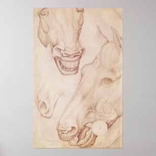 Heads of Horses, from the Vallardi Album Poster