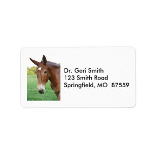 Headshot of a Rather Refined Mule Label