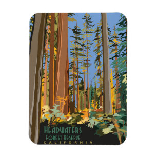 Headwaters Forest Reserve Magnet