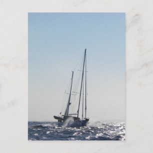 Headwind And Sun Postcard