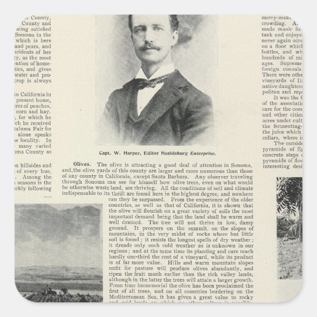 Healdsburg, California Square Sticker (Front)