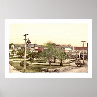 Healdsburg Town Centre Poster Print