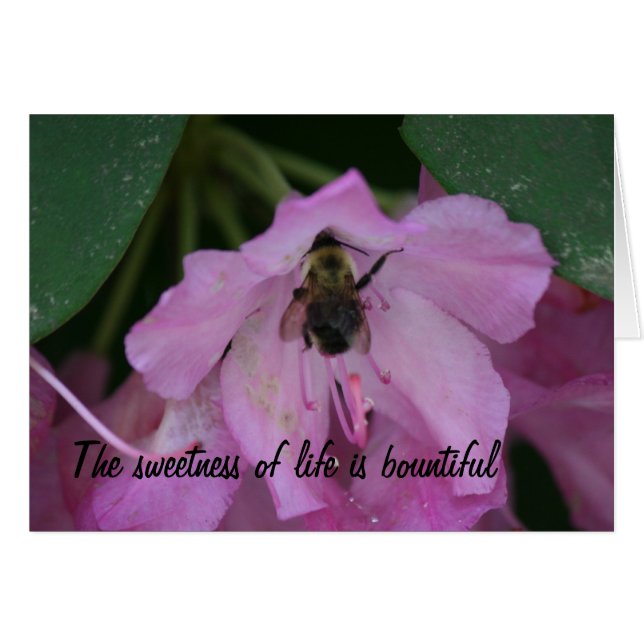 Healing Cards (Front Horizontal)