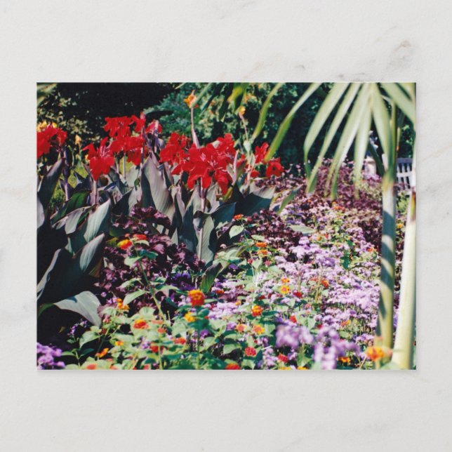 Healing Garden Postcard (Front)