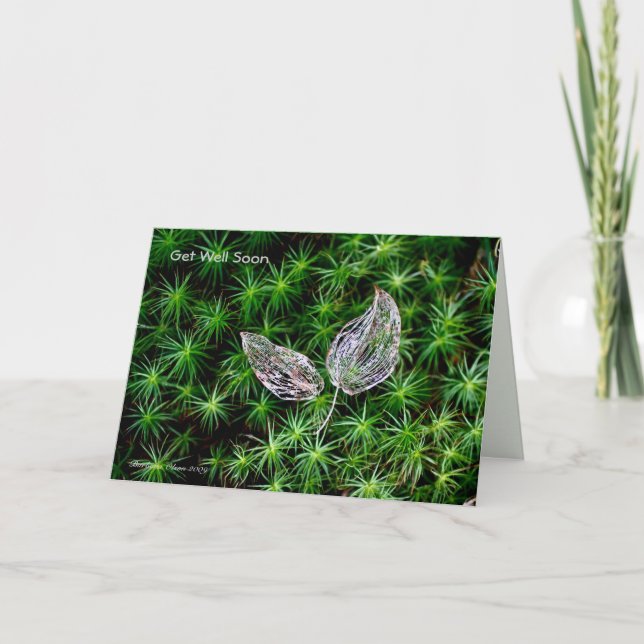 Healing in Nature Card (Front)
