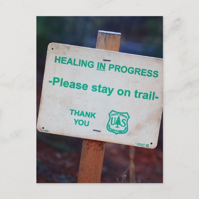 Healing In Progress Postcard (Front)