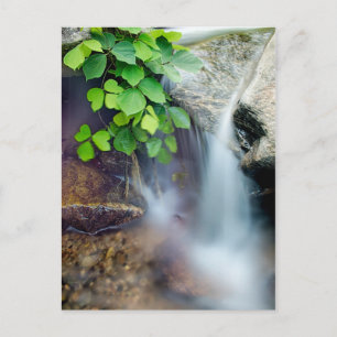 healing nature water stream postcard
