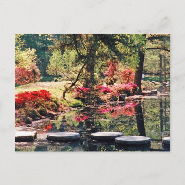 Healing Path Postcard (Front)