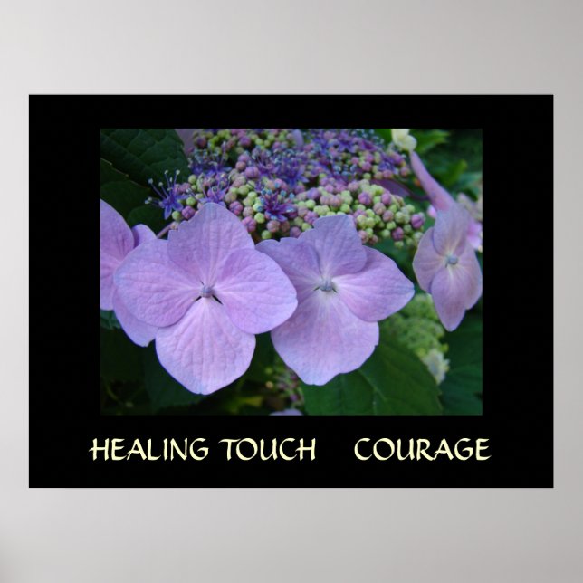HEALING TOUCH Art Gifts COURAGE Hydrangea Art Poster (Front)