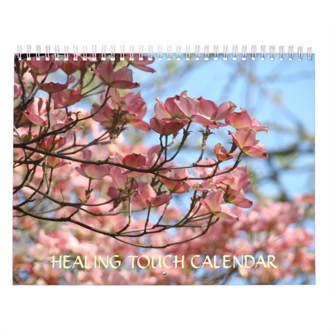 HEALING TOUCH CALENDAR Floral Sky Landscapes (Cover)
