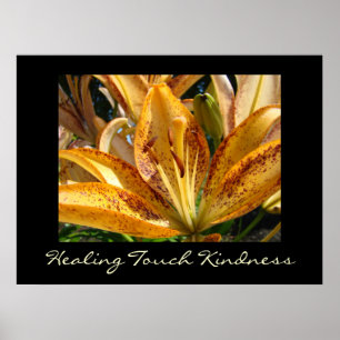 Healing Touch Kindness art prints Orange Lily
