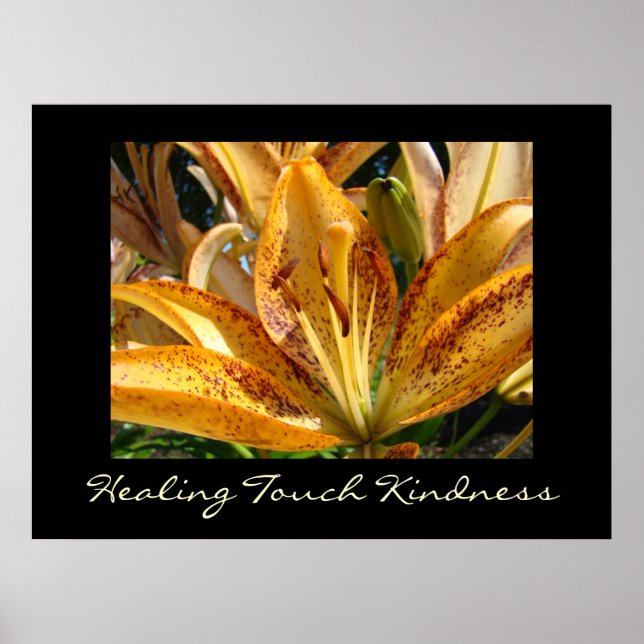 Healing Touch Kindness art prints Orange Lily (Front)