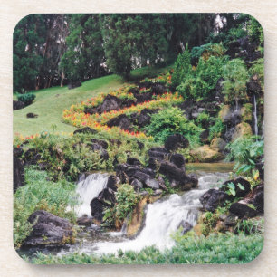 Healing Water Coaster
