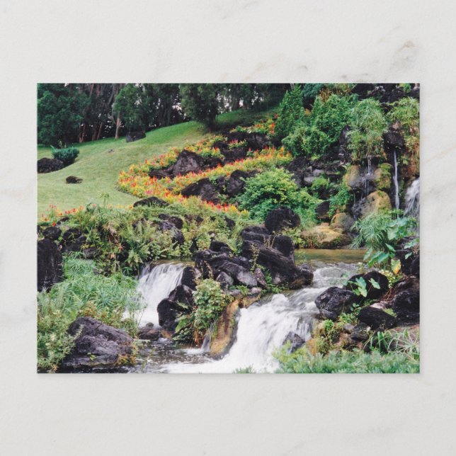 Healing Water Postcard (Front)