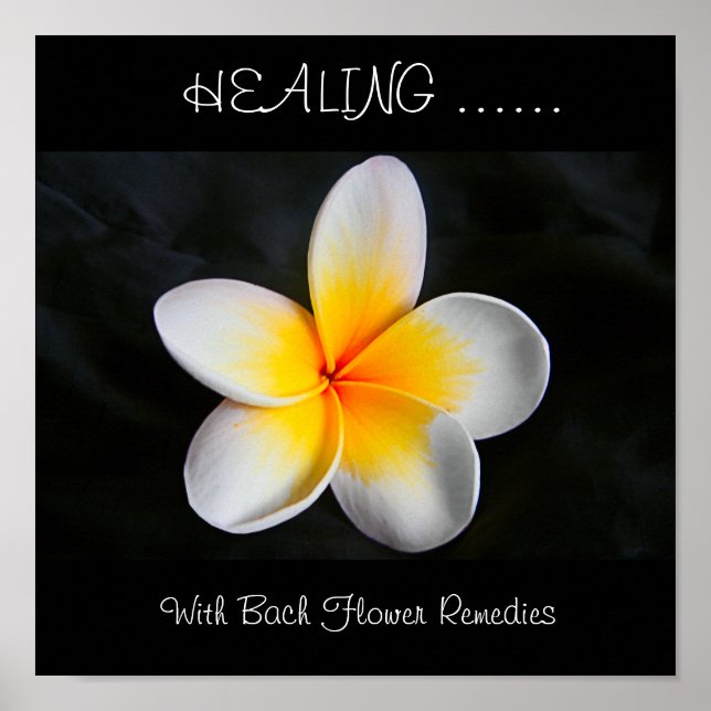 Healing with bach flower remedies poster (Front)