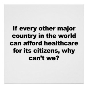 Healthcare, why can't we? Protest Sign. Poster