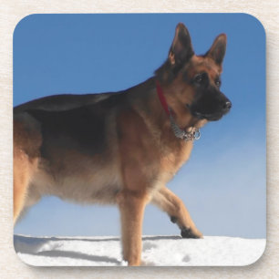 Healthy And Happy German Shepherd Dog Coaster