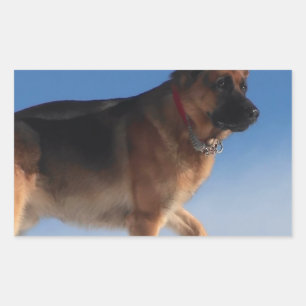 Healthy And Happy German Shepherd Dog Rectangular Sticker