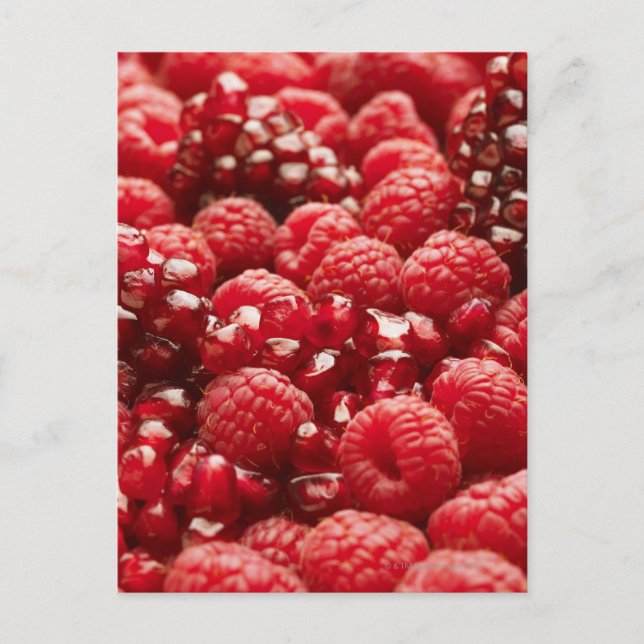 Healthy and nutritious red berries postcard (Front)