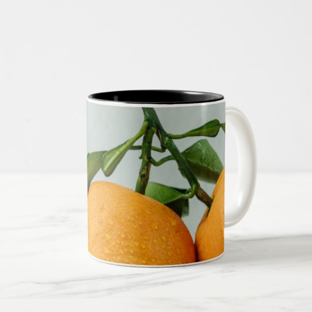 Healthy Food Two-Tone Coffee Mug (Front Right)
