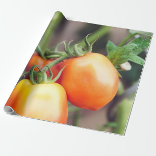 Healthy Food Wrapping Paper